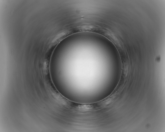 X0000091950378200709131209