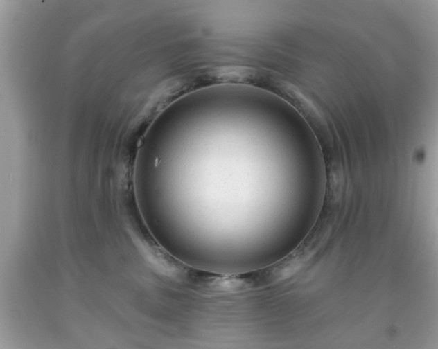 X0000091950379200709131209