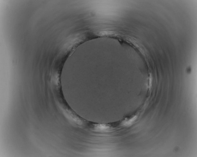 X0000091950380200709131209