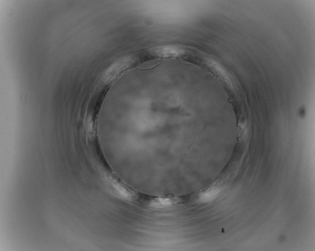 X0000091950381200709131209