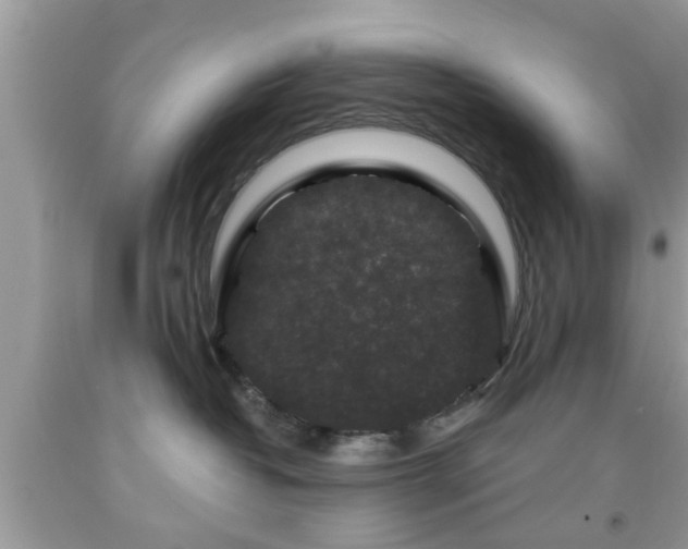 X0000091950382200709131209