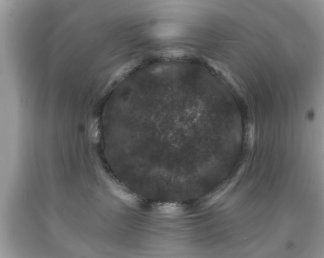 X0000091950383200709131209