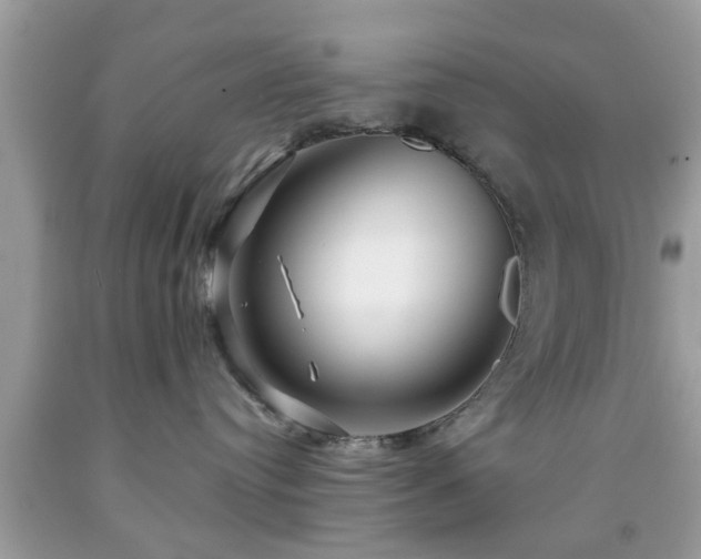 X0000091950384200709131209