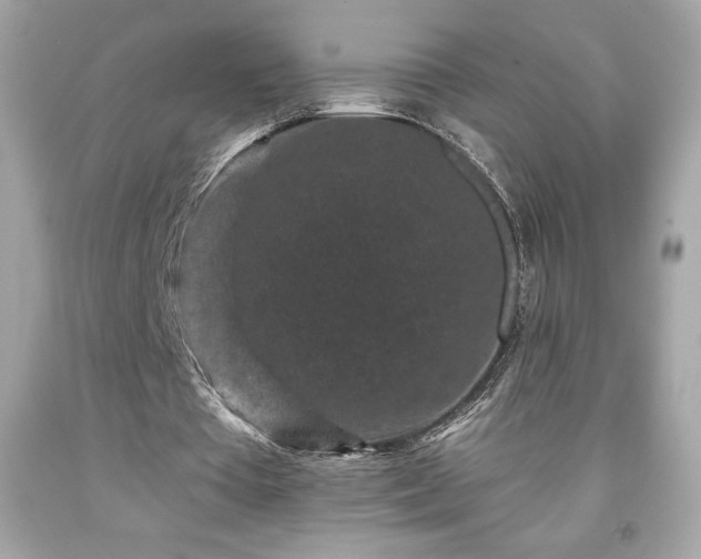 X0000091950385200709131208