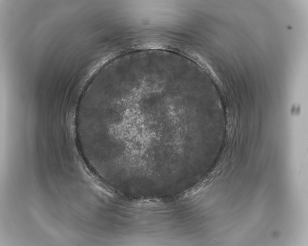 X0000091950386200709131208