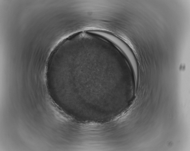 X0000091950387200709131208