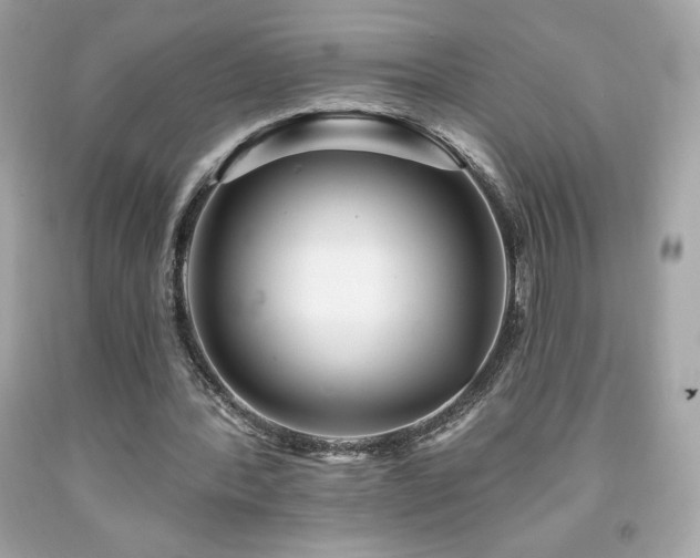 X0000091950388200709131208