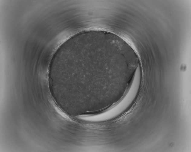 X0000091950389200709131208