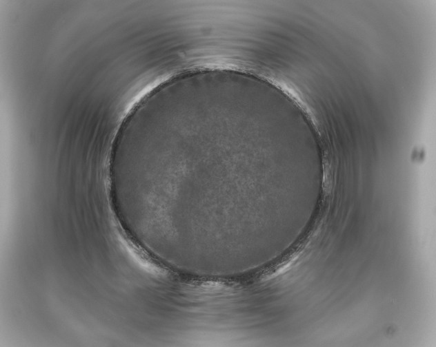 X0000091950390200709131208