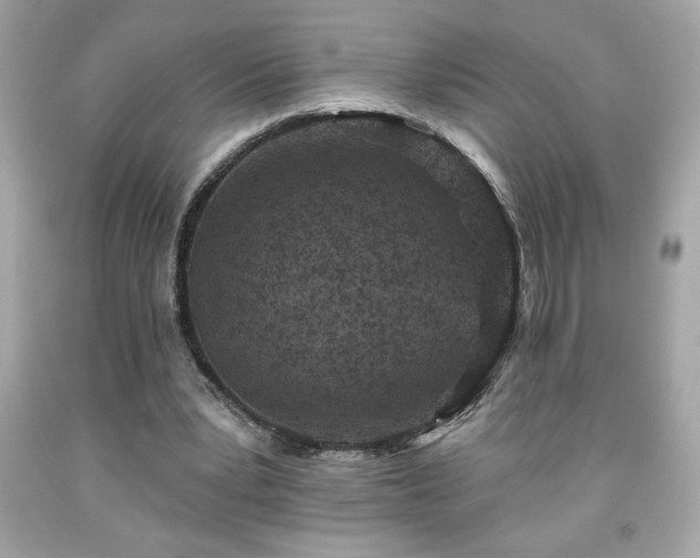 X0000091950391200709131208