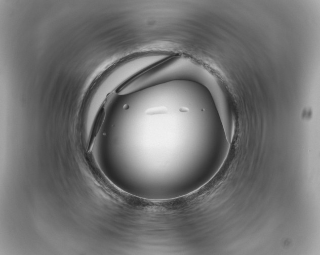 X0000091950392200709131208