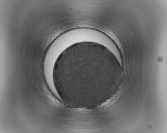 X0000091950393200709131208