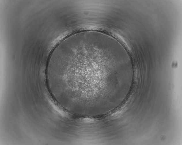 X0000091950394200709131208