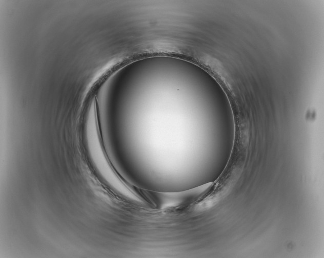 X0000091950395200709131208