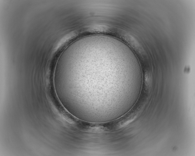 X0000091950396200709131208