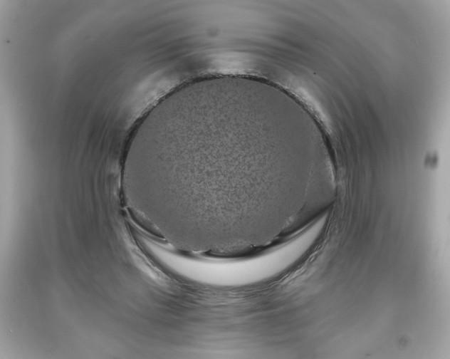 X0000091950397200709131208