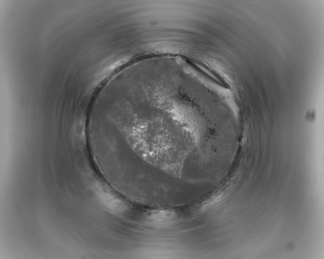 X0000091950398200709131208