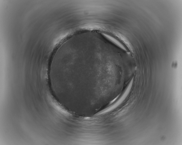 X0000091950399200709131208