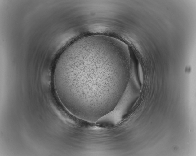 X0000091950400200709131208