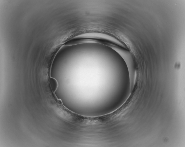 X0000091950401200709131208