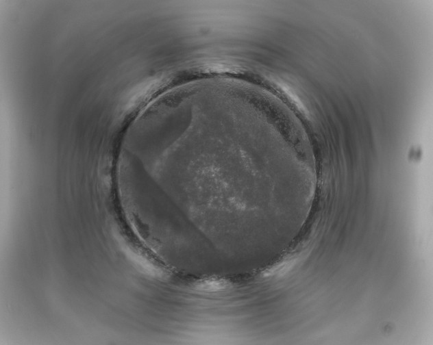 X0000091950402200709131208