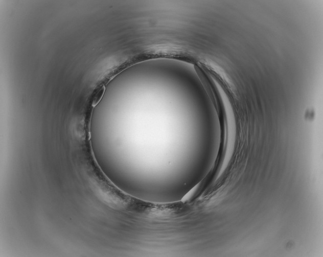 X0000091950403200709131208