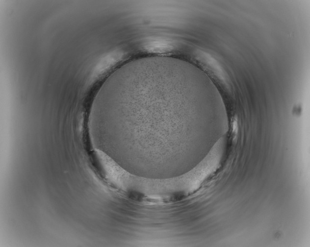 X0000091950404200709131208