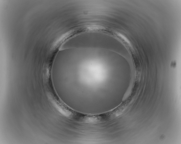 X0000091950405200709131208