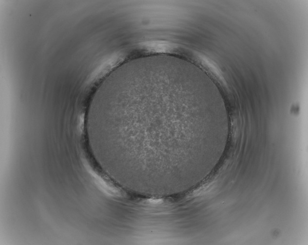 X0000091950406200709131208