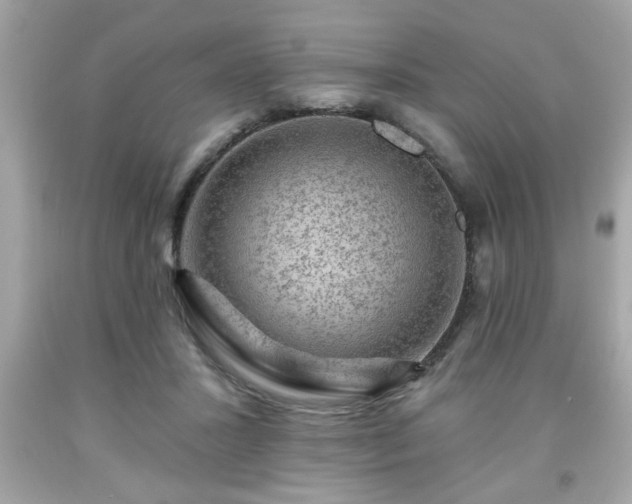 X0000091950407200709131208