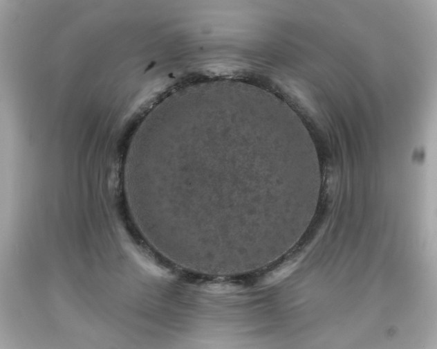 X0000091950408200709131208