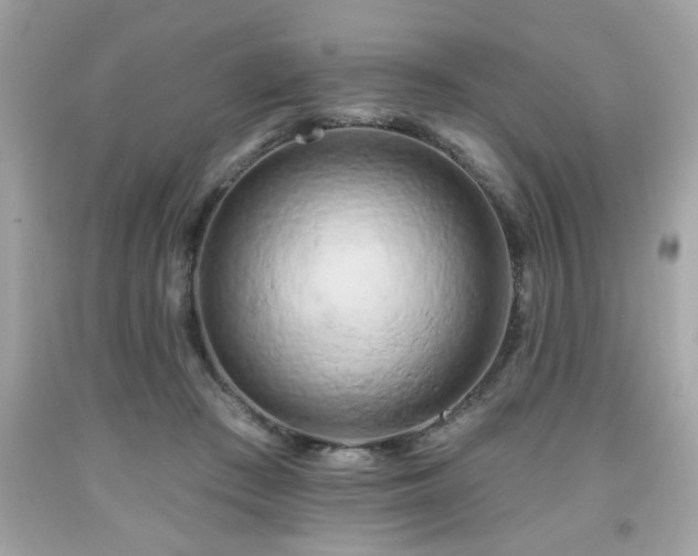 X0000091950409200709131208