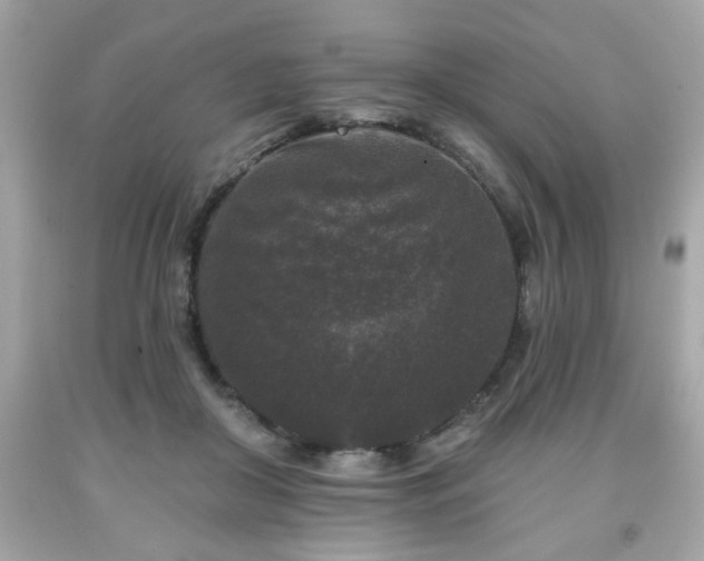 X0000091950410200709131208