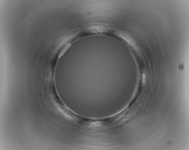 X0000091950411200709131208