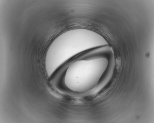 X0000091950412200709131208