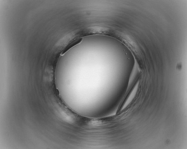 X0000091950413200709131208