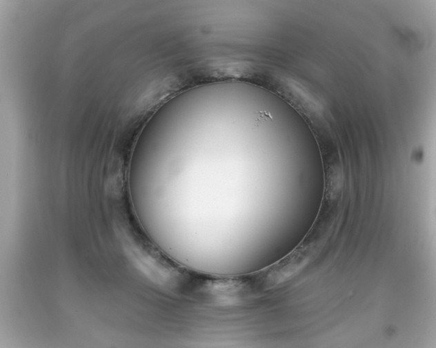 X0000091950414200709131208