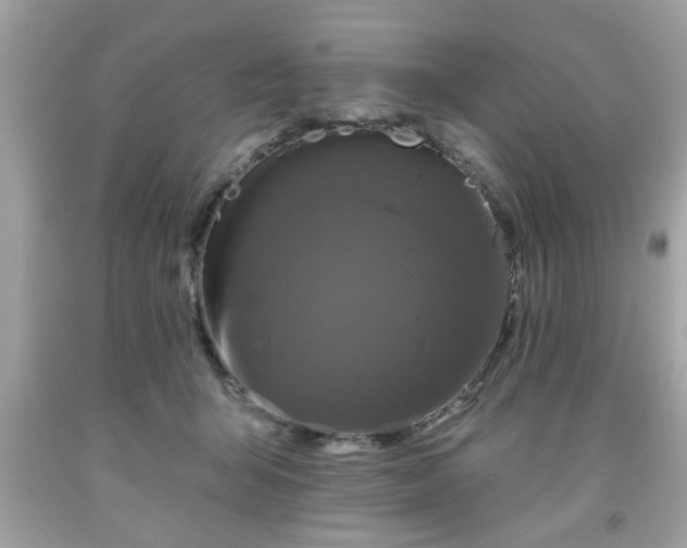 X0000091950415200709131208