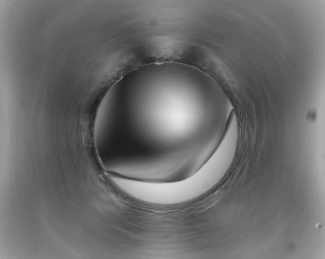 X0000091950416200709131208