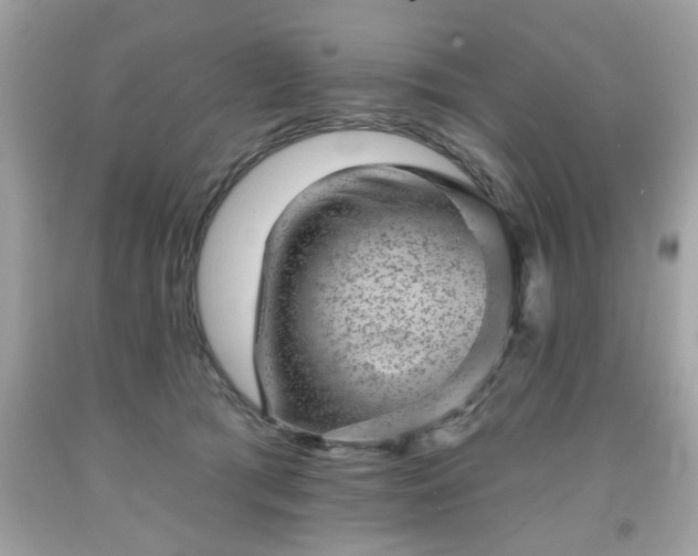 X0000091950417200709131208