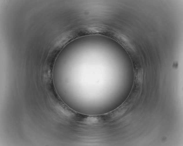 X0000091950418200709131208