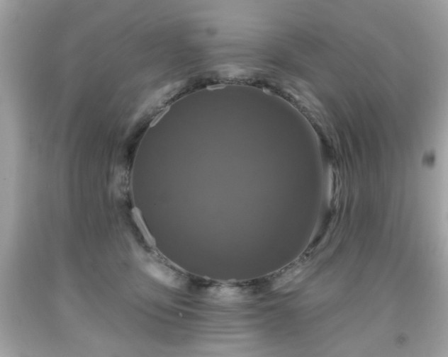 X0000091950419200709131208