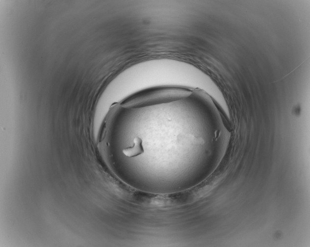 X0000091950420200709131208