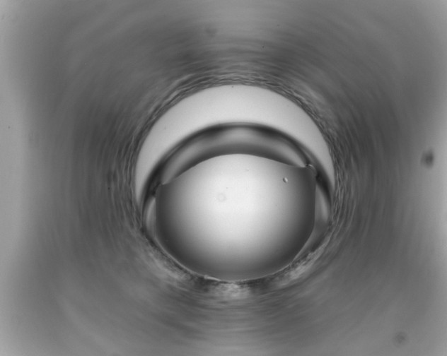 X0000091950421200709131208