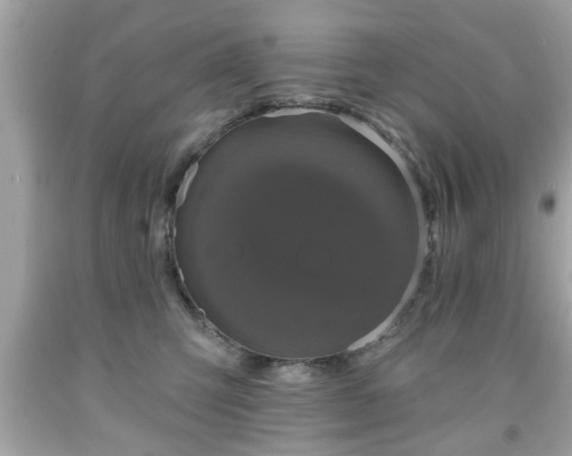 X0000091950423200709131208