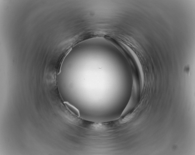 X0000091950425200709131208