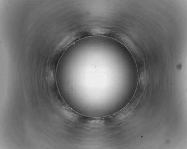 X0000091950426200709131208