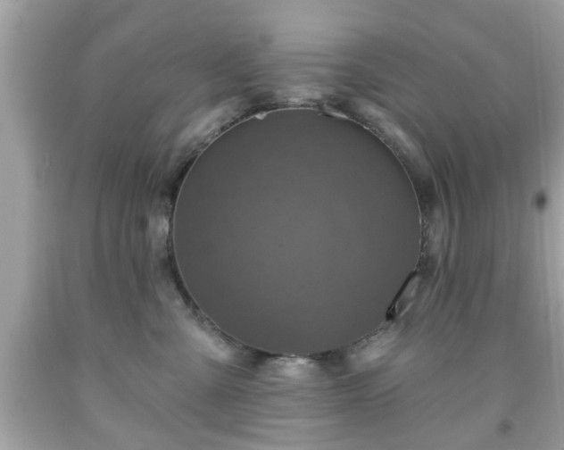 X0000091950427200709131208