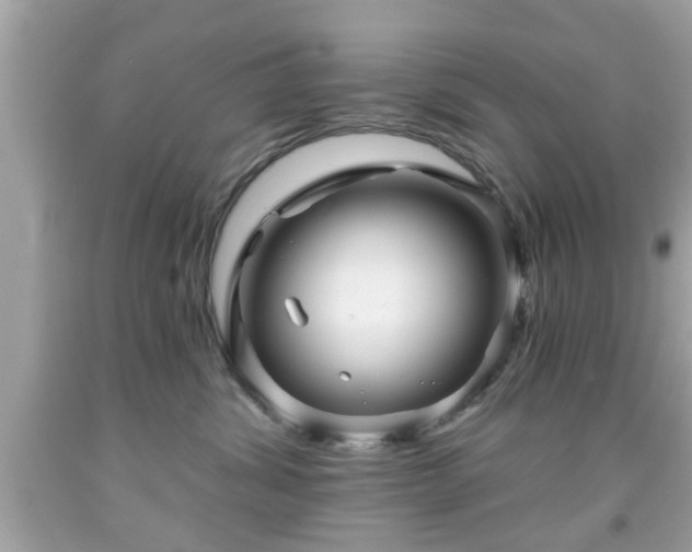 X0000091950428200709131208