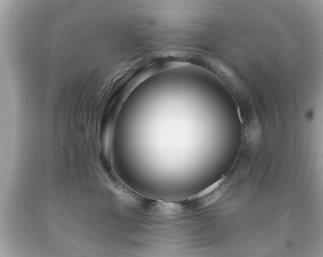 X0000091950429200709131208